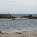 DSC07294